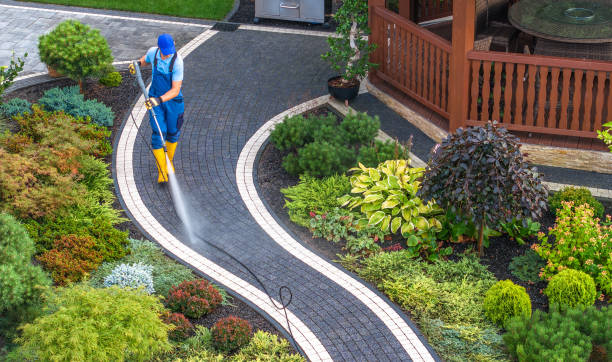 Best Roof Power Washing Services  in Raven, VA